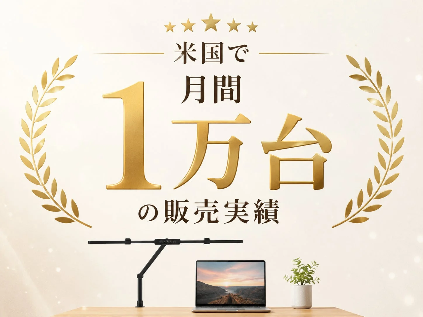 米国での販売実績