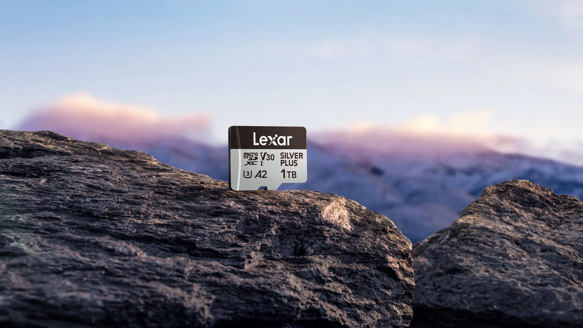 Lexar Professional SILVER PLUS microSDXC™ UHS-Iカード