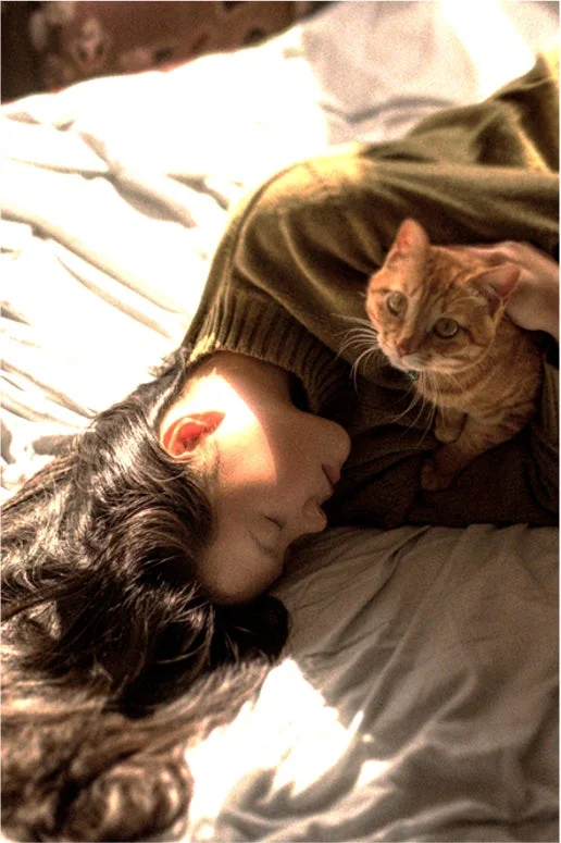 ベッドで猫とくつろぐ女性