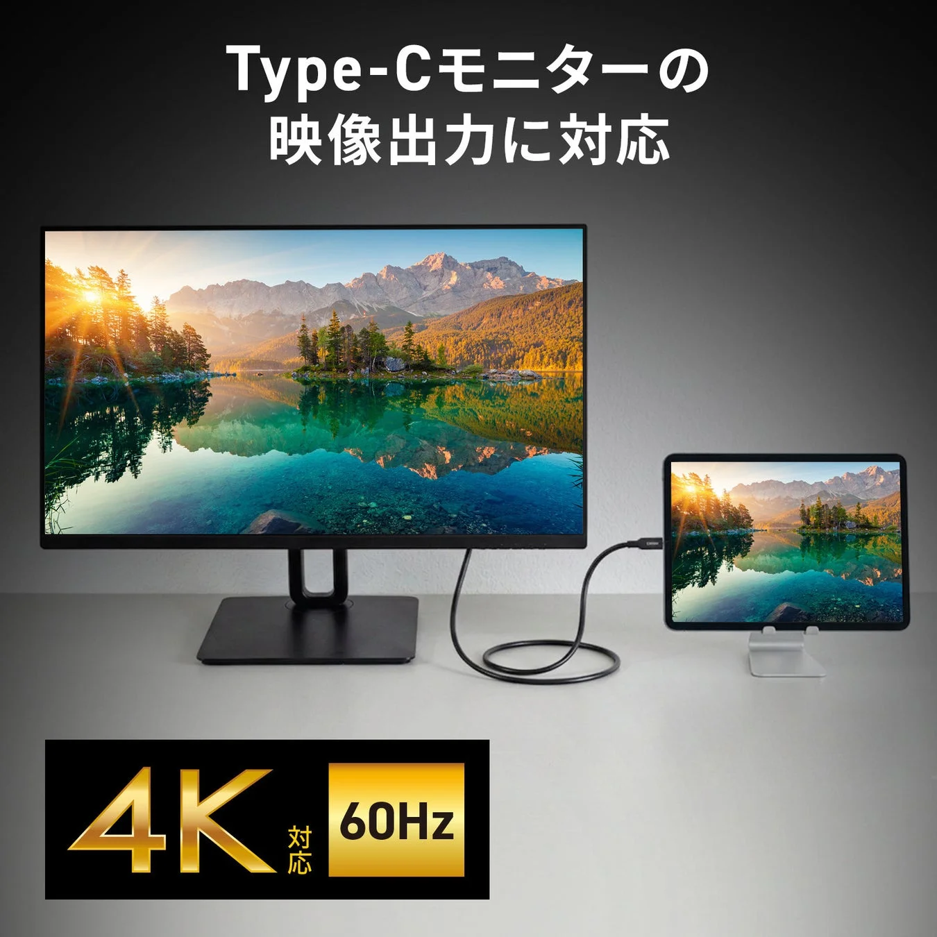 Type-Cモニターの映像出力に対応