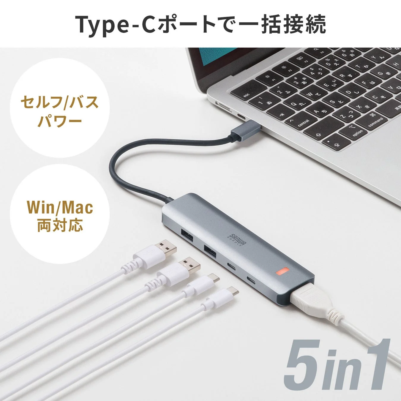 Type-C一括接続イメージ