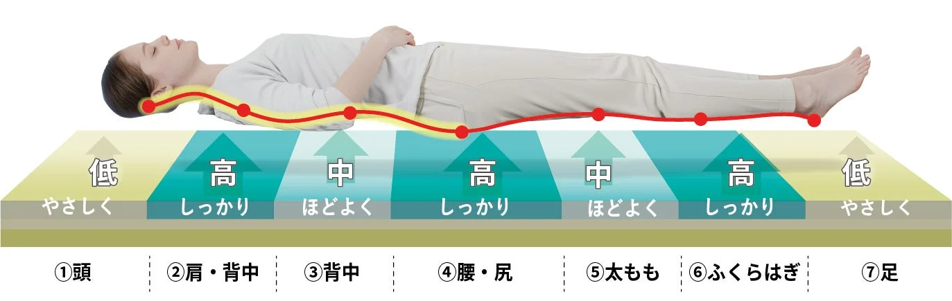 仰向け寝の体圧分散