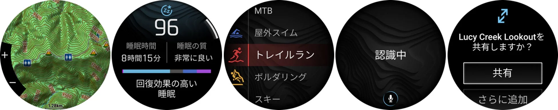 Garmin Fenix 9 多機能表示