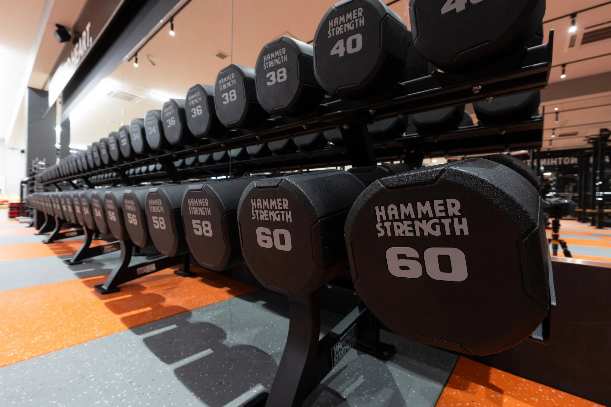 Hammer Strength ダンベル