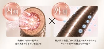 髪の内部と外部へのアプローチを説明する画像