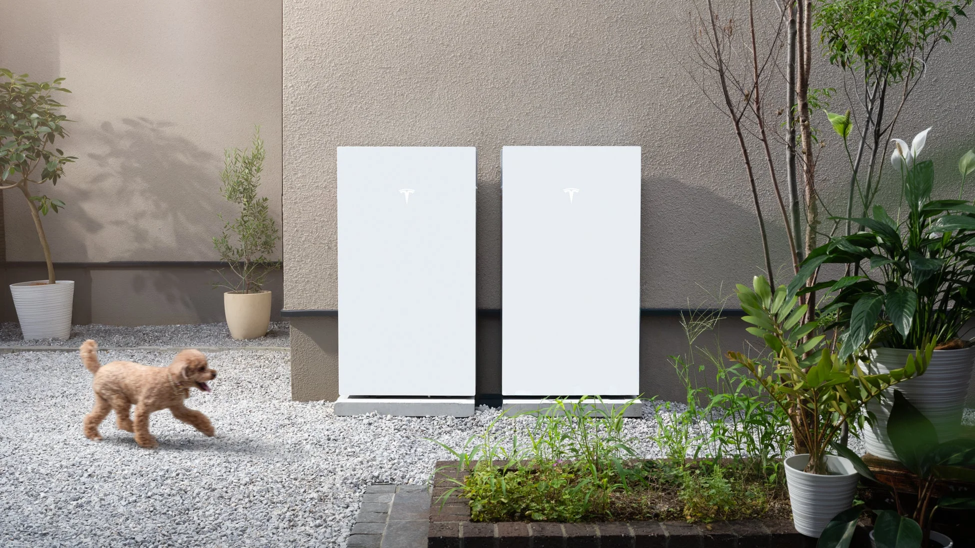 庭に設置されたテスラ Powerwallと犬