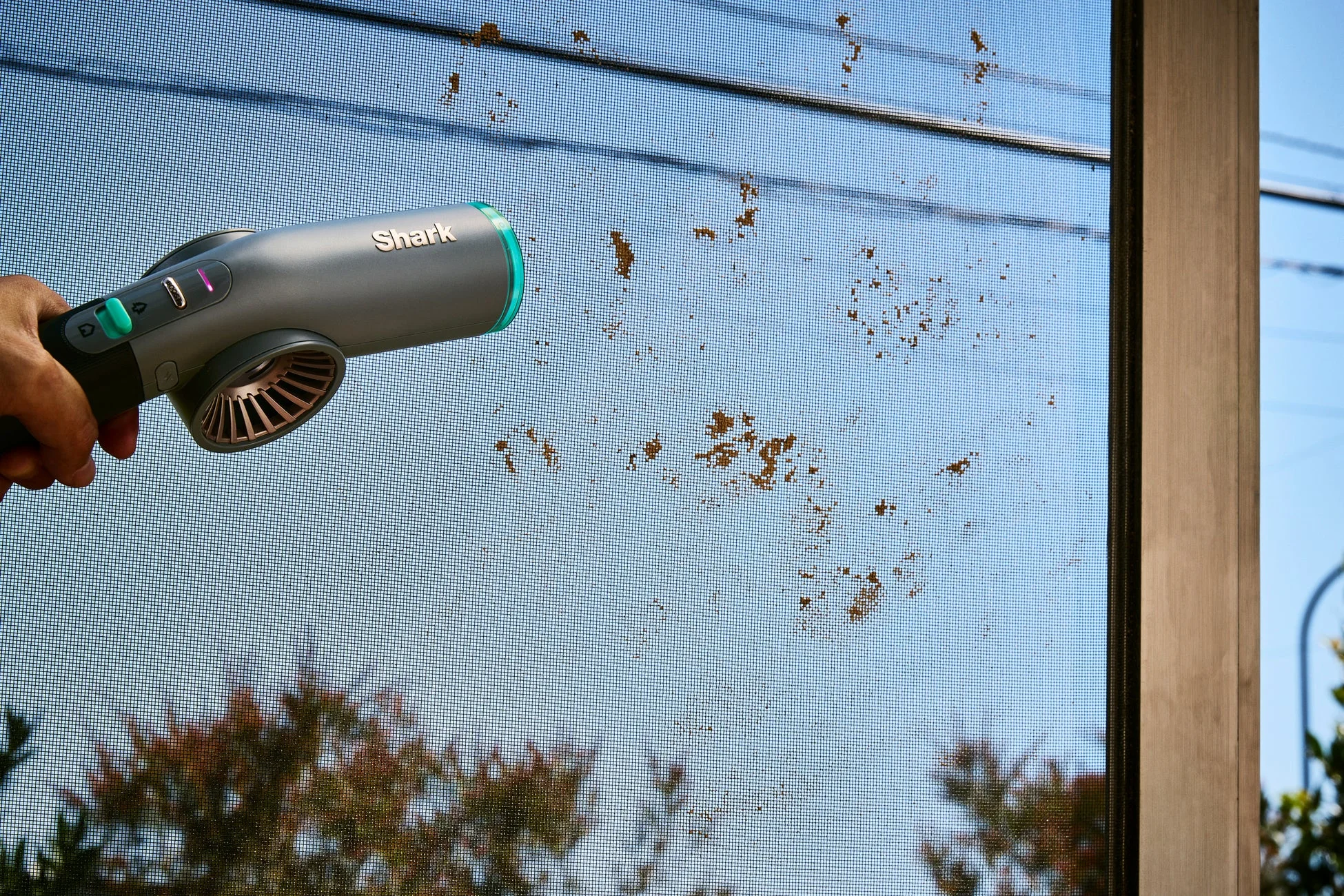 網戸掃除
