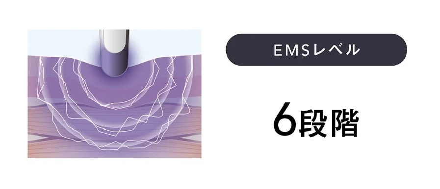 EMSレベル6段階