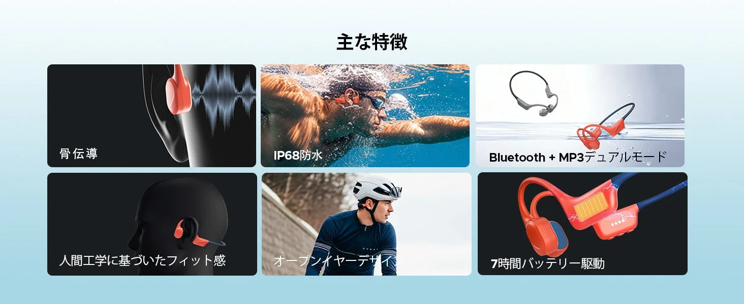 主な特徴