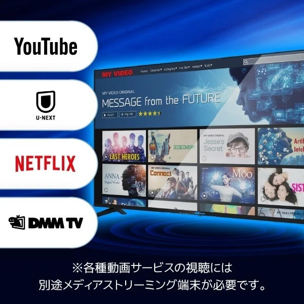 動画配信サービス対応画面