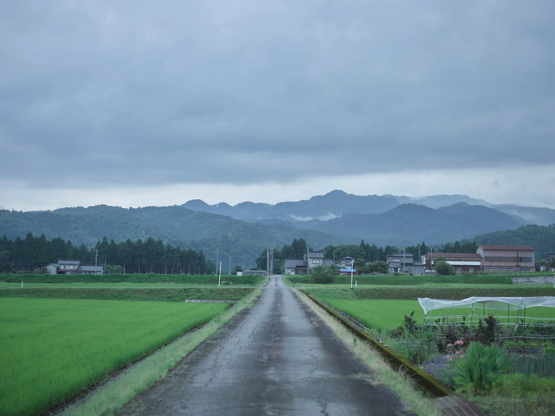 田園風景