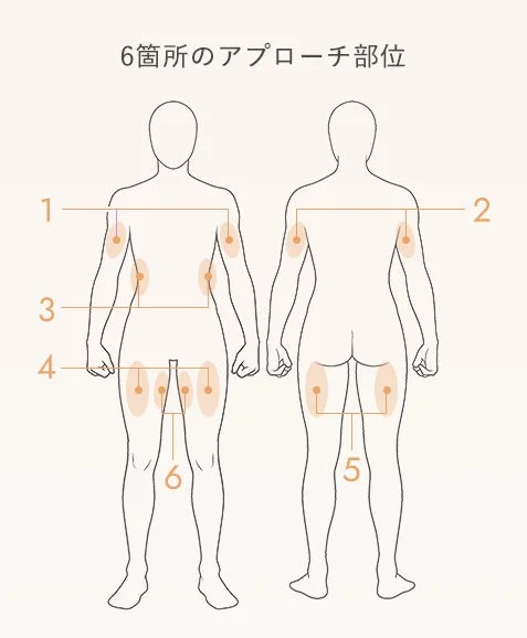 トレーニング・プログラム対象部位