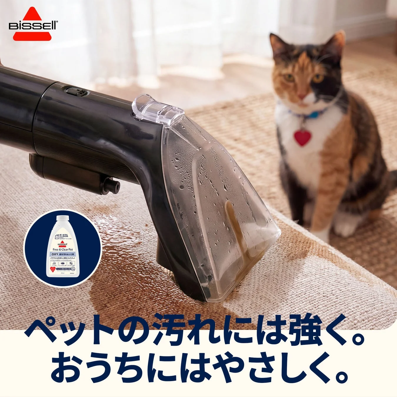 クリーニングの様子