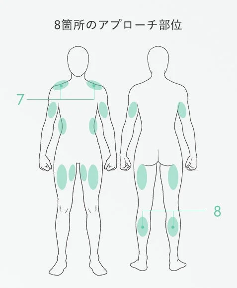 コンディショニング・プログラム対象部位